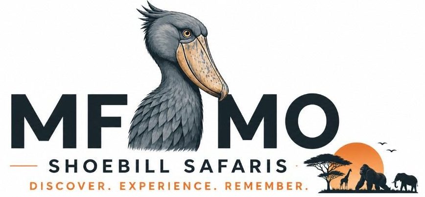mfumo shoebill safaris